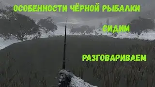 Dayz 