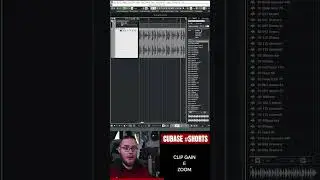 Clip Gain e Zoom di Cubase