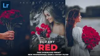 Special Glossy Red Photography Preset | Lightroom Presets DNG & XMP Free Download