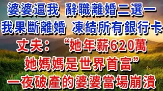 婆婆逼我 辭職離婚二選一，我果斷離婚 凍結所有銀行卡，丈夫“她年薪620萬，她媽媽是世界首富”，一夜破產的婆婆當場崩潰！