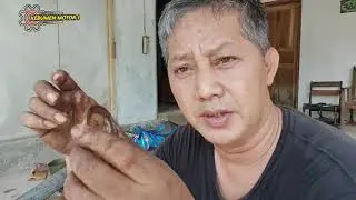 komstir rusak jeduk ini penyebabnya