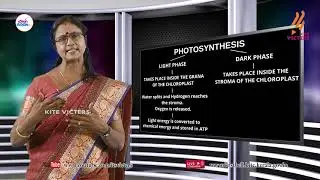 First Bell 2.0 STD 09 Biology - English Medium Class 01