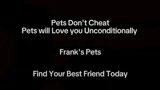 Frank's Pets. Find Your Best Friend Today.