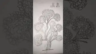 Risco para bordar ou pintar #artesanato #bordado #colorirdesenhos #desenhos #risco #art #drawing