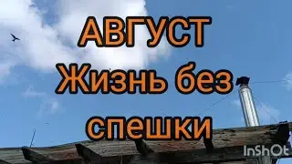 Жизнь  без спешки ,август/Островец, день города/Картофельный эксперимент, завершение. 29.08.24
