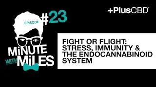 Fight or Flight: Stress, Immunity & the Endocannabinoid System