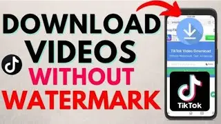 How To Download TikTok Video Without WaterMark
