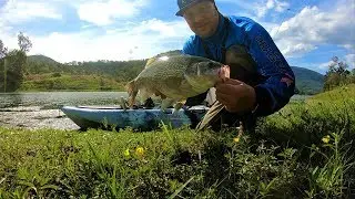 Stanley River Fishing Session| Chasing Deep Water Bass!