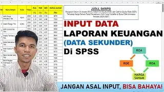 Cara Input Data Laporan Keuangan Ke SPSS