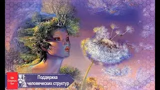 Исцеляющие настройки Цивилизации Лея для структуры человека 4D пространства