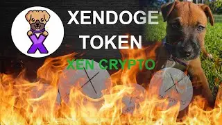 XENDoge: Combining Decentralised Finance with Animal Welfare - Join the XEN Crypto Movement