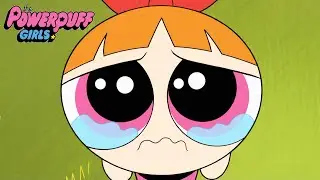 The Powerpuff Girls | Worthless Blossom | 