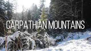 🌲 Mountains 4K, Nature, Meditation, Relax / Карпаты / Белый шум / Зимний лес ❄️