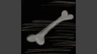 Bones