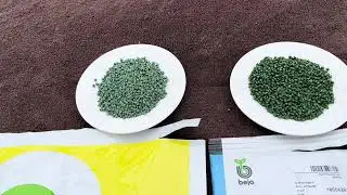 Обзор семян. что буду выращивать в этом году.