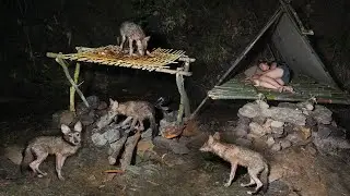 Catching Stream Fish and Drying - Midnight Attacked by Wolves..., Part 10