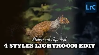 Sherwood Squirrel 4 Styles Lightroom Edit