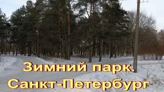 Зимний парк. Санкт-Петербург.