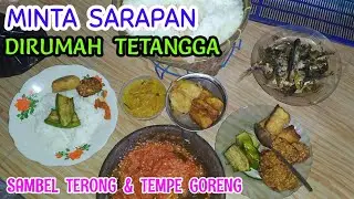 Sarapan dirumah tetangga pagi hari 😂 | Lalapan terong & sambel