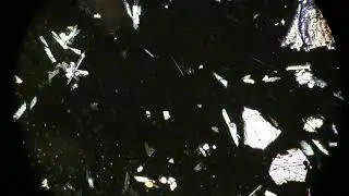 00004