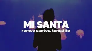 Romeo Santos - Mi Santa ft. Tomatito | Letra