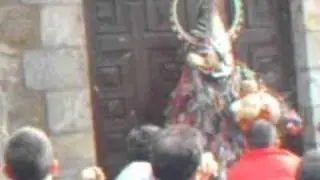 El Efecto Verdolaga RONDA JARRAMPLERA