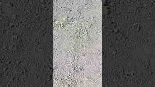 16 июня 2023 г.