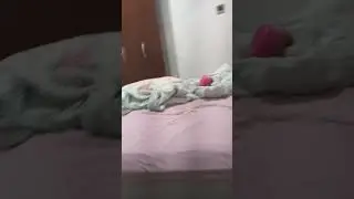 8 de agosto de 2023