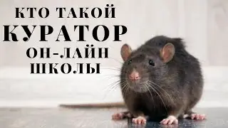 КТО ТАКОЙ КУРАТОР ОНЛАЙН ШКОЛЫ 🔥/РАБОТА НА ОНЛАЙН КУРСЕ