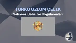Nalineer Cebir ve Uygulamaları | Türkü Özlüm Çelik