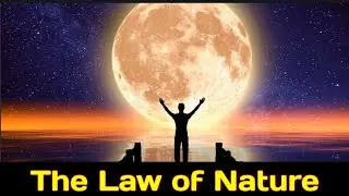 The Law of Nature | Best Motivational Video