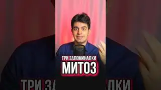 Три запоминалки по Митозу