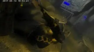 Тест камеры в аквариуме