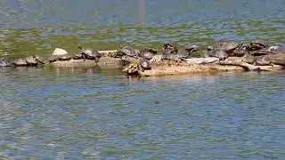 20 second of total relaxation