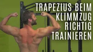 Richtige Ausführung beim Klimmzug – Trapezius trainieren – Klimmzüge richtig lernen