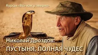 Николай Дроздов: в мире животных пустыни \\ лекция для 