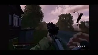 Perfect sniper Shoot Dayz