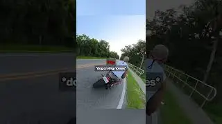 POV: A Dog Runs Straight Into His Bike💀
