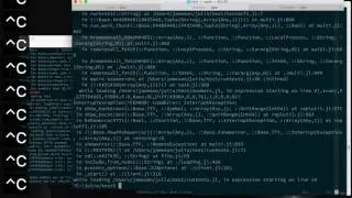 julia lldb usage