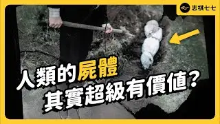 為什麼古代有一堆盜墓？除了陪葬品，很多盜墓者的目標可能就是「屍體」本人！《七七說書》 EP 070｜志祺七七