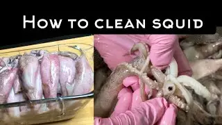 How to Clean Squid