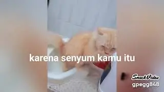 Oyen umpoy pintar