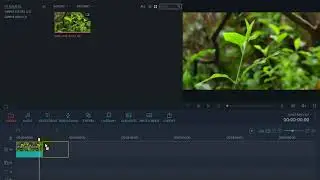 Filmora Tutorial- Color Grading for Cinema