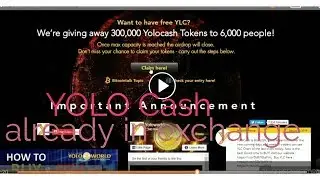 YOLO cash 50$ airdrop for Every participant