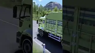 Ford cargo