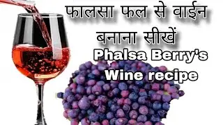 Phalsa Berry's Red Wine recipe. फालसा फल से वाईन बनाना सीखें।