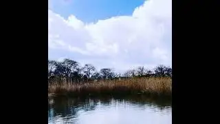 Станица Старомышастовская. Речка