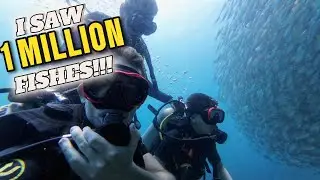 DO SCUBA DIVING ONLY IN KOH SAMUI!!! 🇹🇭 (S1-EP18)