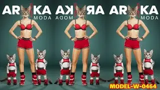 MODEL-W-0464