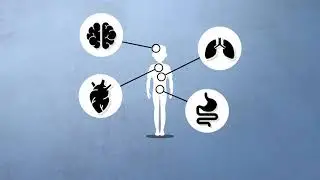 Metabolism 101: How can I improve my metabolism?